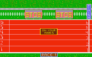 Frog Race atari screenshot